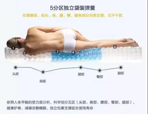 施华白兰空气弹簧床垫